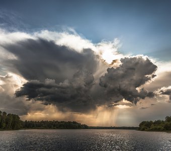 Крылатый вестник непогоды