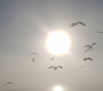 Безмятежность