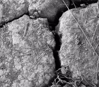 Старая кожа