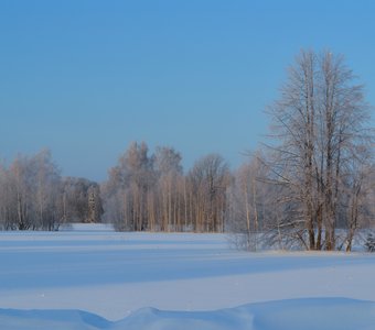 Тишина