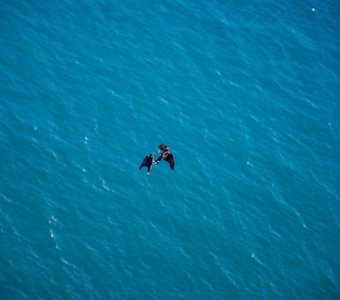 Воздушный бой