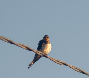 Чувствую на себе взгляд