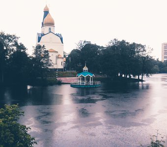 Дождь в Сестрорецке