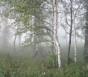 Утро родного края.