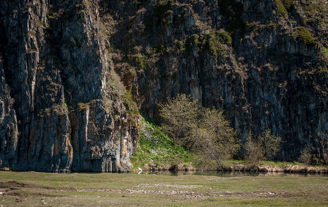 Чарышские скалы