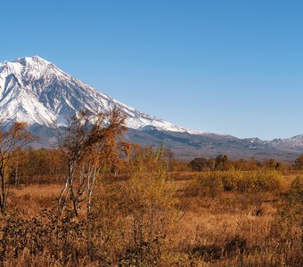 «Домашние» вулканы Корякский и Авачинский