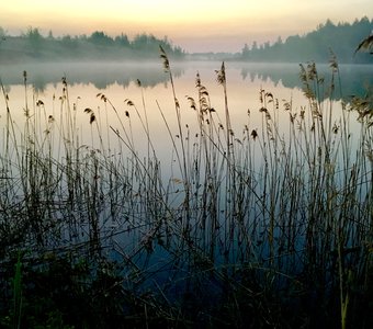 Утро в Тульской области