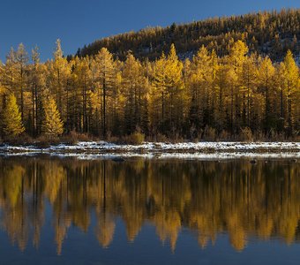 Отражения осени