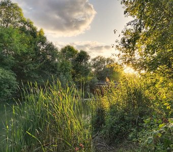 Подьём летнего солнца у тихой реки