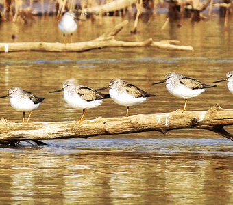 Разбор полётов.