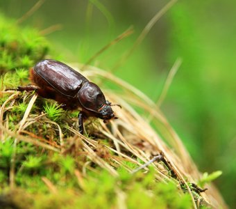 Спешу по своим делам.