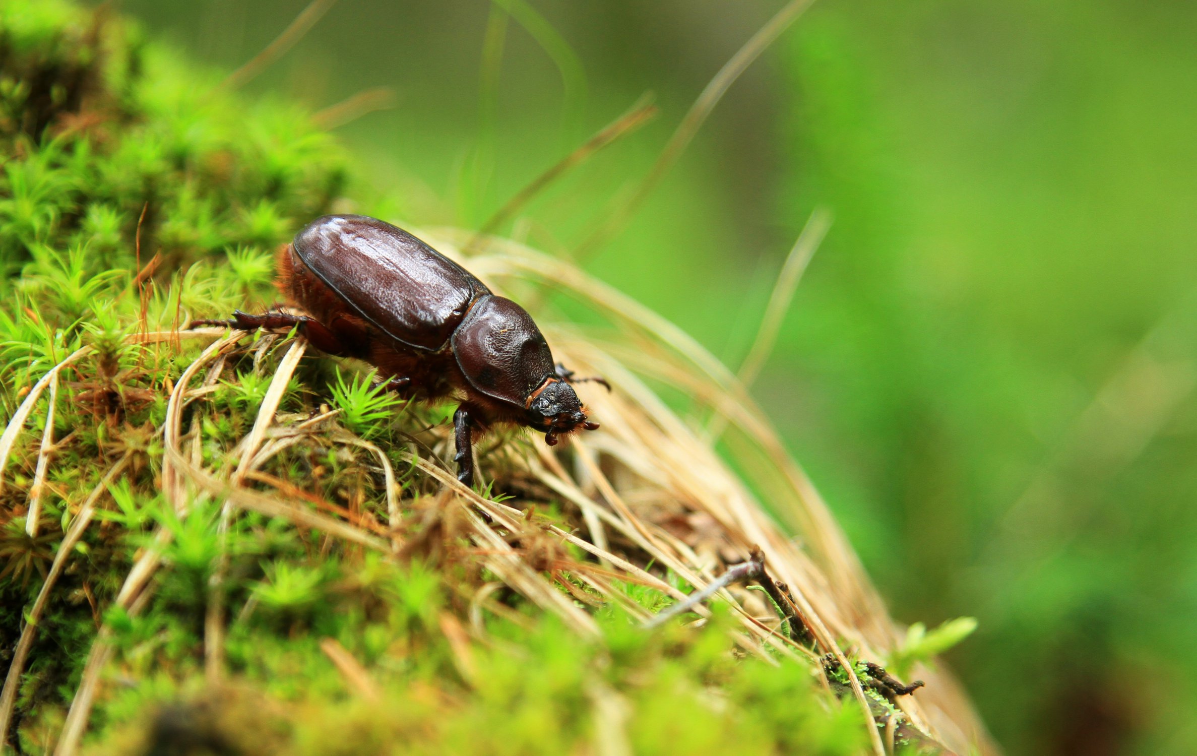 Спешу по своим делам.