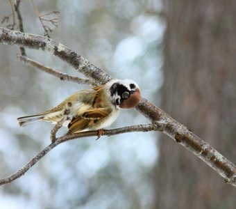 Свой взгляд на мир.