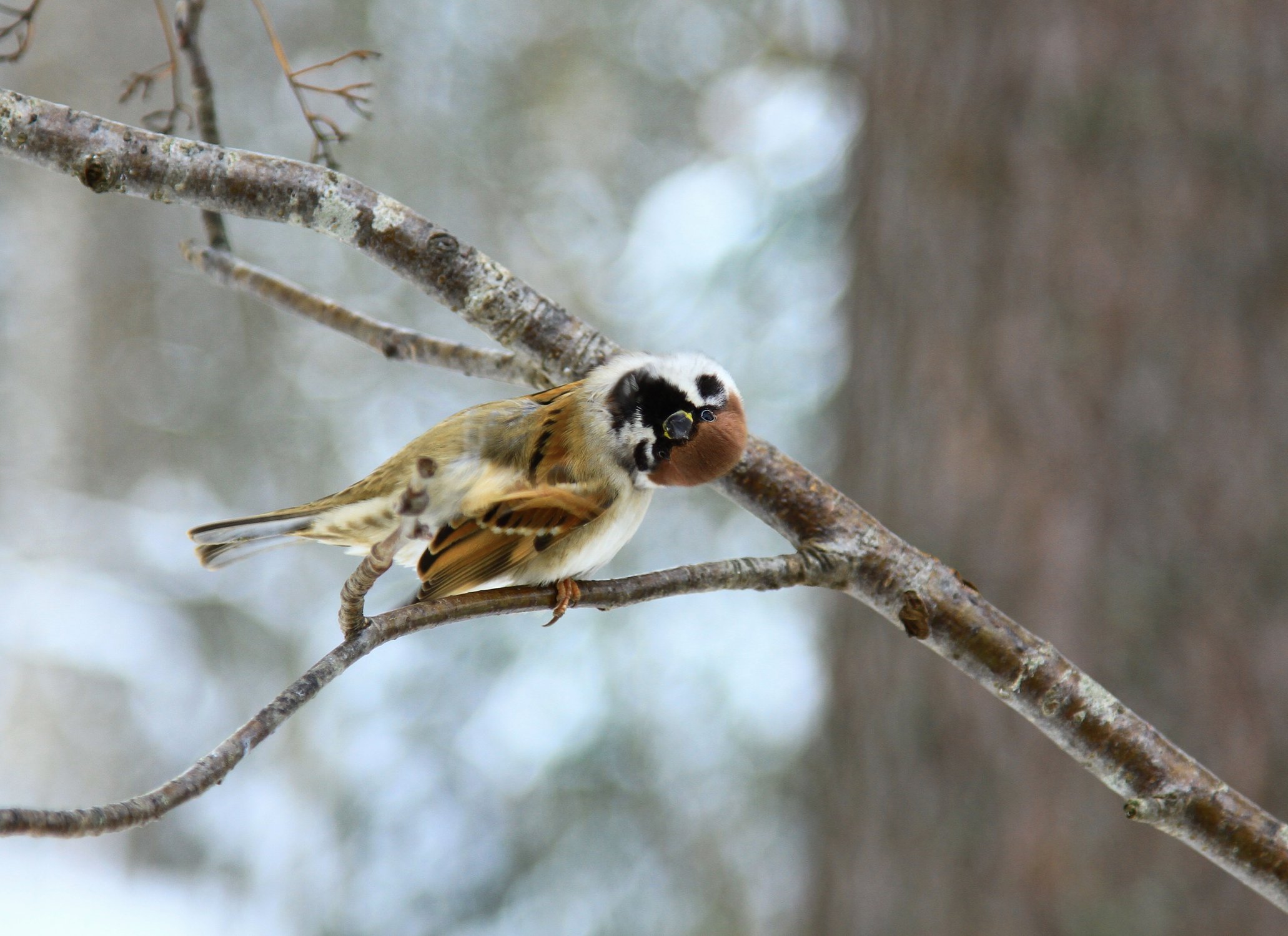 Свой взгляд на мир.