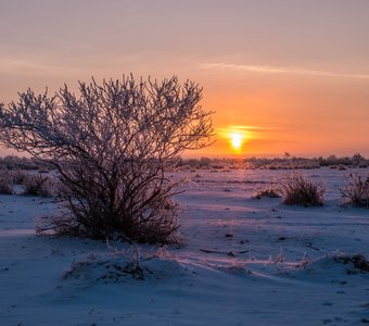 Серебро Астраханских степей