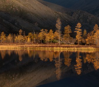 Осень на озере Джека Лондона