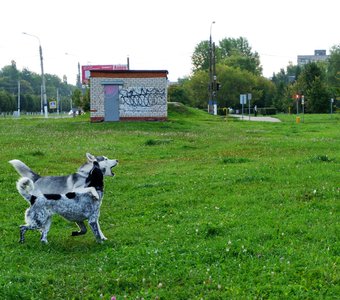 Давай споём! Споём!