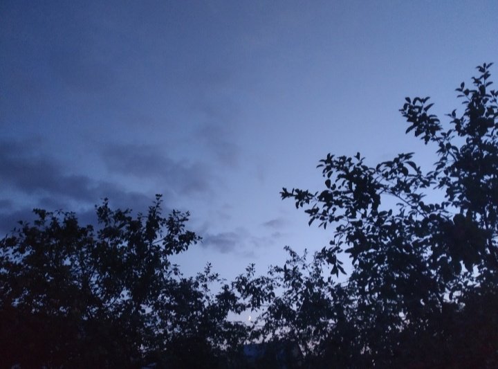 В такт сердцу