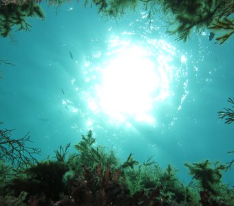 Подводное солнце