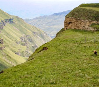Каньон Цолотль.