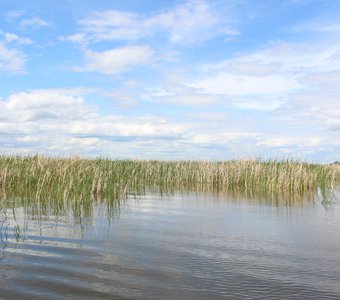 Озеро. Алтайский край, с. Заковряшино