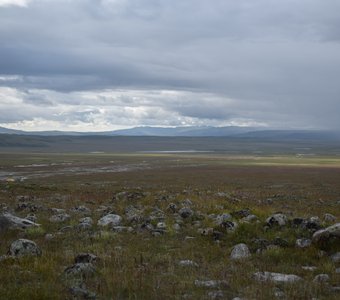 Каменистая равнина