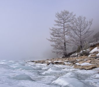 Туман и лёд