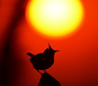 Провожая солнце