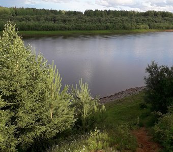 Берег родной