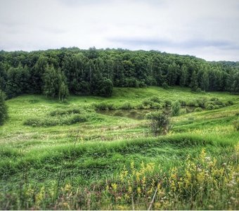 Поля В РОССИИ