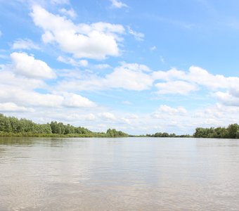 Летний день р. Обь, Алтайский край