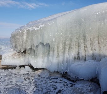 Байкальский ежик.