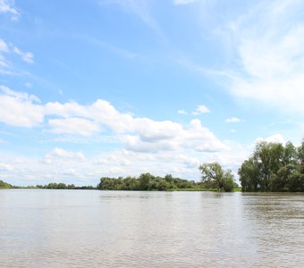 Река Обь, Алтайский край