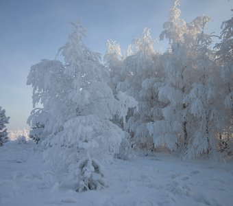 Зимний день