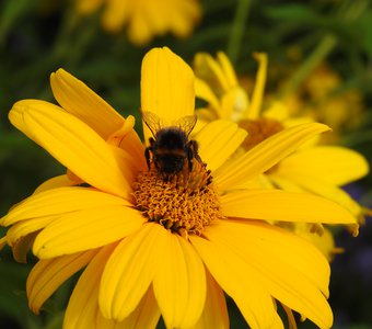 Присел подкрепиться