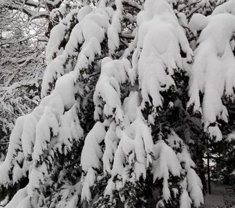 Зимушка-зима