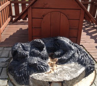 Не проходите мимо