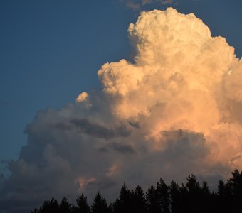 навстречу солнцу