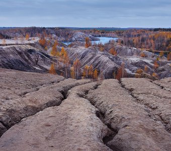 Склон осенних терриконов