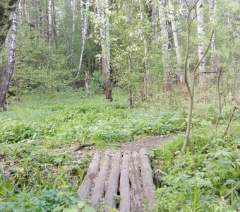 Куда ты, тропинка, меня заведешь?