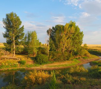 В ласковых лучах