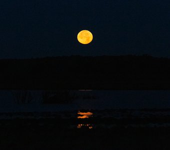 Лунная ночь