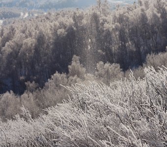 Туманно в Абзаково