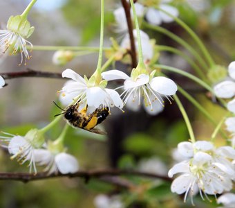 Рабочий день
