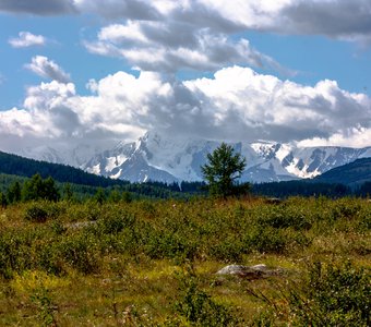 Там, за облаками