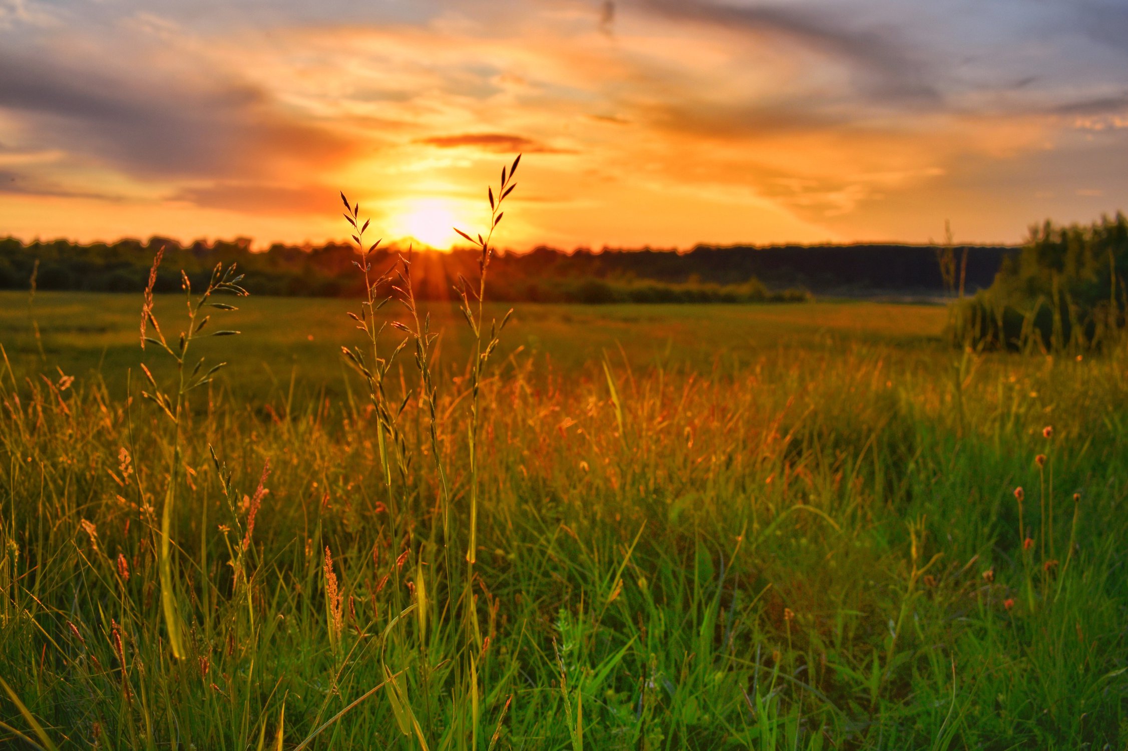 Закат в совершенстве