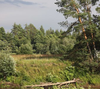 Перед грозой...