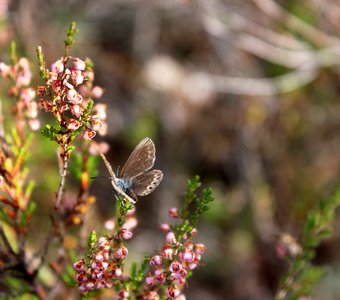 Время застыло