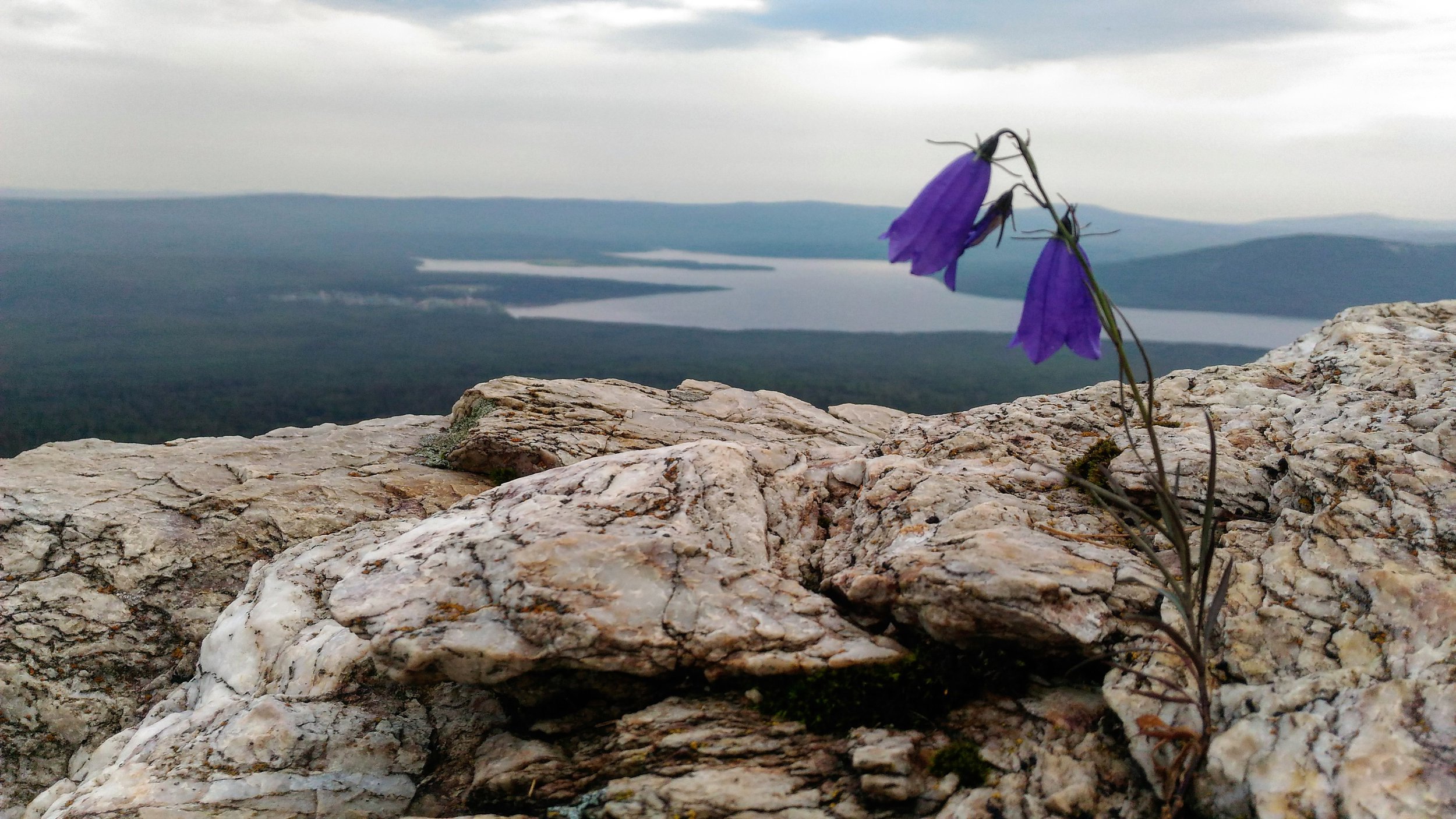 "Стойкий оловянный солдатик"