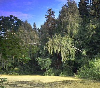 летнее томленье...